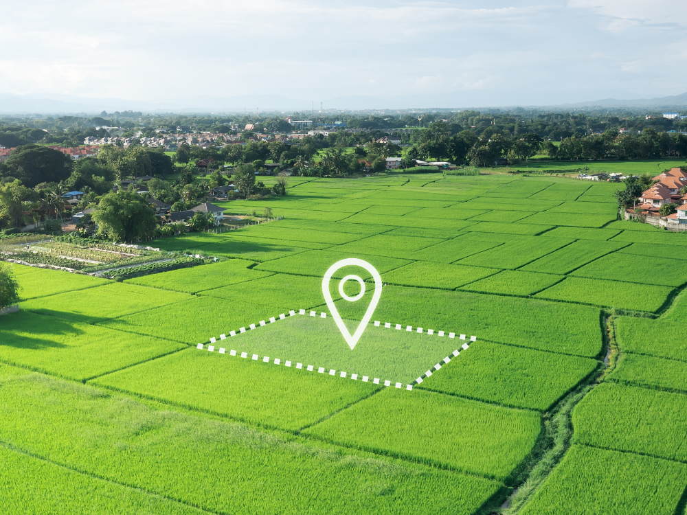 260 Gaj 5 bhk house For Sale