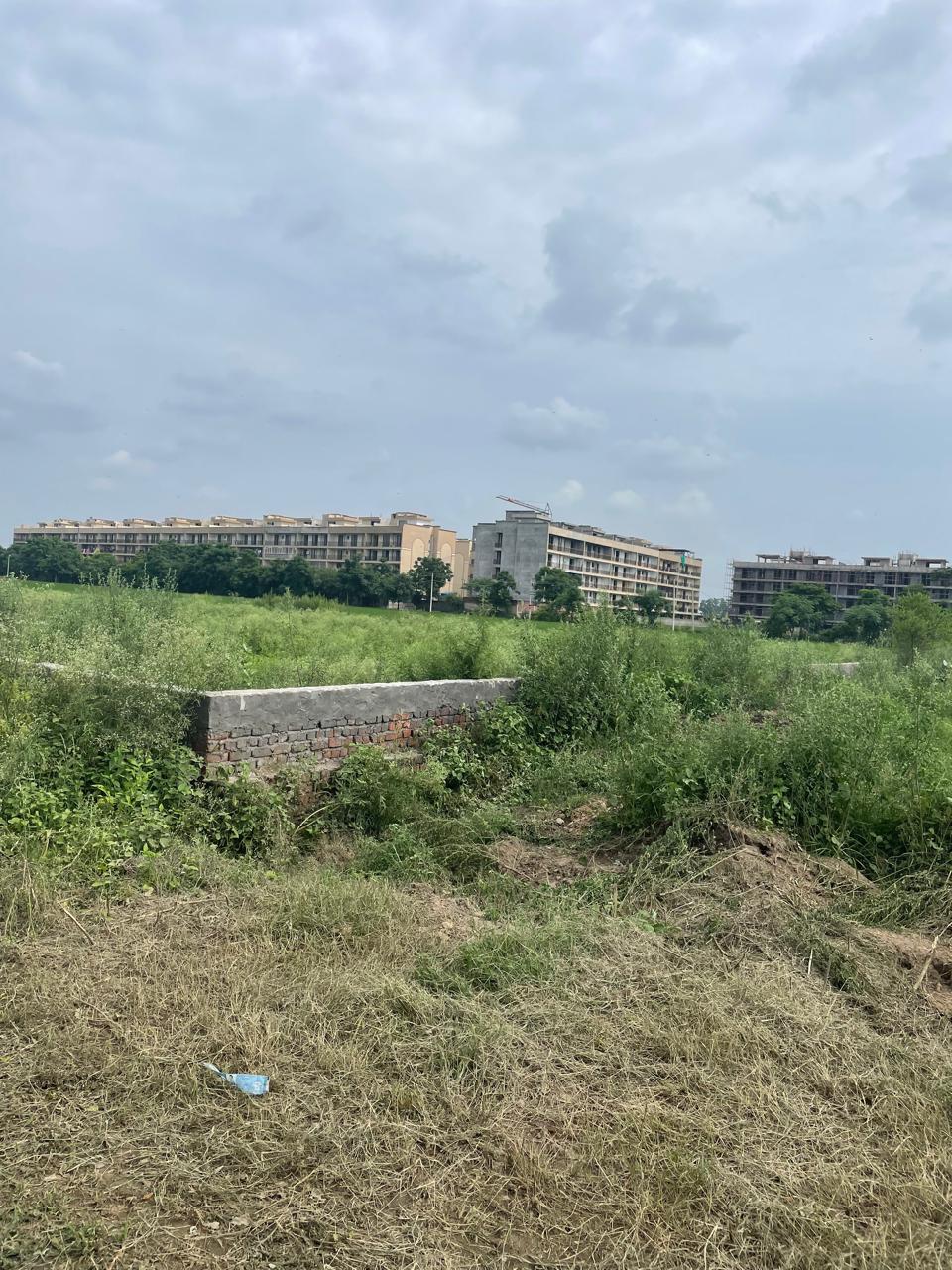 Plot for sale 40 Marla  920 Gaj