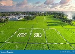 20 marla plot for sale