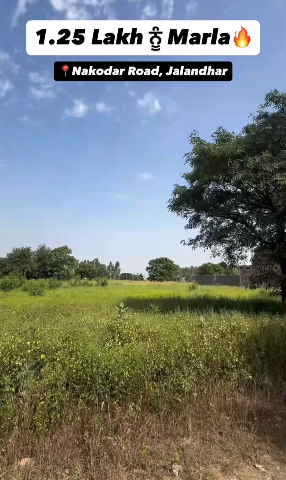 2151 Gaj Plot For Sale In Jalandhar