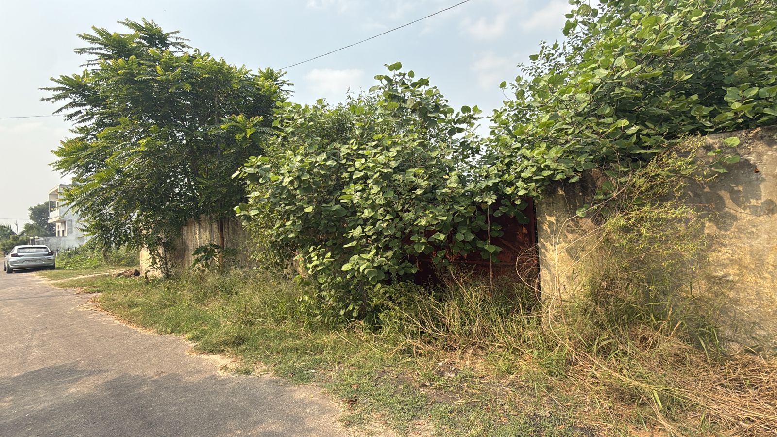 1000 Gaj plot for sale in Jalandhar